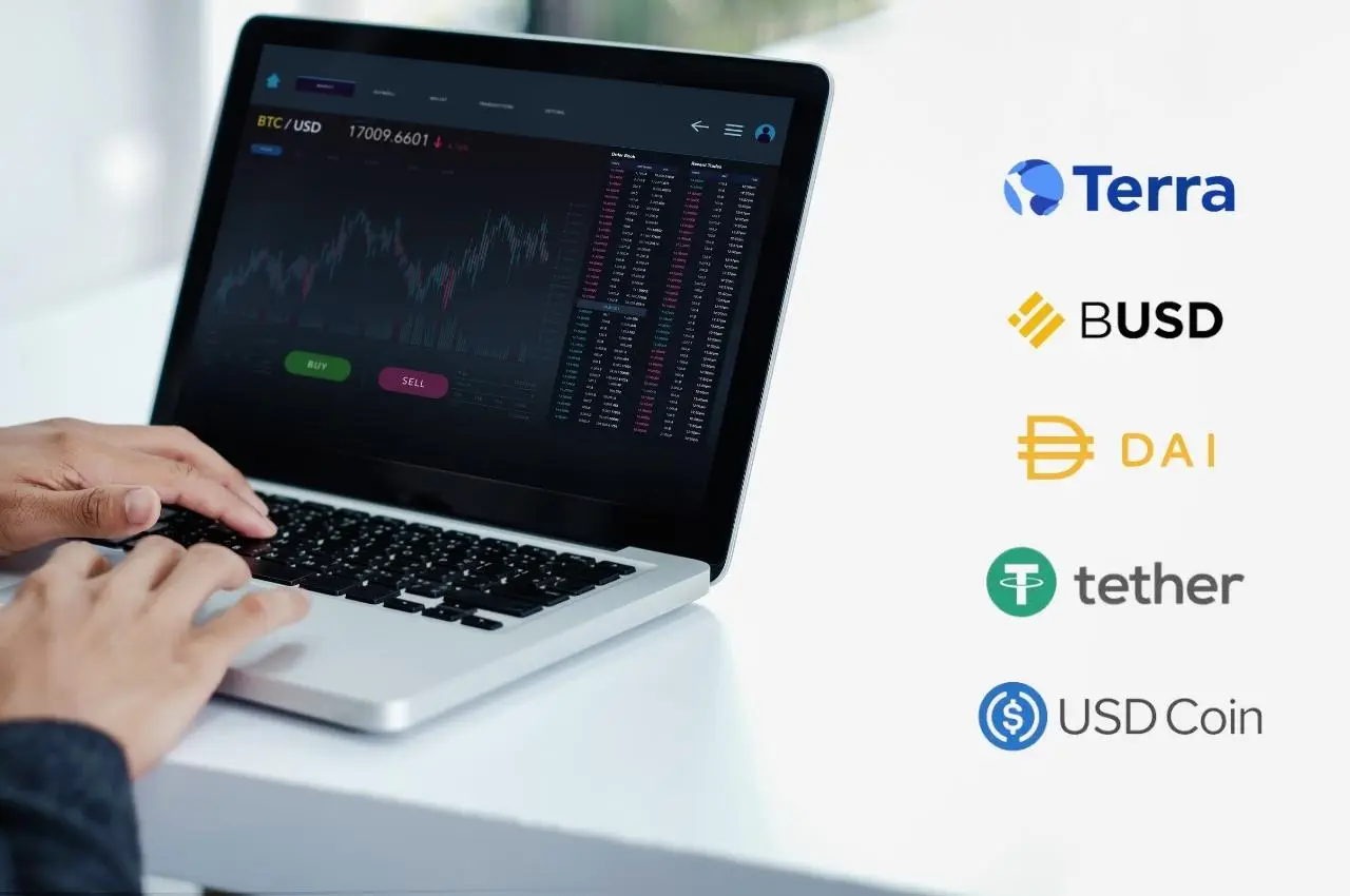 Persona que usa una laptop para operar con criptomonedas, como Terra, BUSD, DAI, Tether y USD Coin. Invierte en stablecoins.