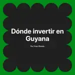Dónde invertir en Guyana