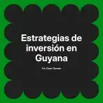 Estrategias de inversión en Guyana