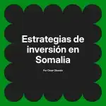 Estrategias de inversión en Somalia