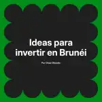 Ideas para invertir en Brunéi