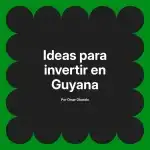 Ideas para invertir en Guyana