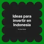 Ideas para invertir en Indonesia