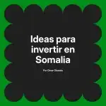 Ideas para invertir en Somalia