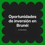 Oportunidades de inversión en Brunéi