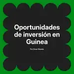 Oportunidades de inversión en Guinea