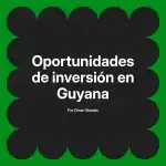 Oportunidades de inversión en Guyana