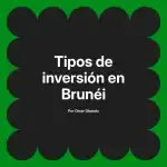 Tipos de inversión en Brunéi