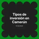 Tipos de inversión en Camerún