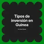 Tipos de inversión en Guinea