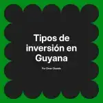 Tipos de inversión en Guyana