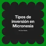 Tipos de inversión en Micronesia