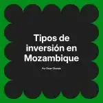 Tipos de inversión en Mozambique