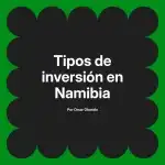 Tipos de inversión en Namibia