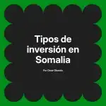 Tipos de inversión en Somalia