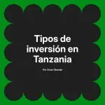 Tipos de inversión en Tanzania
