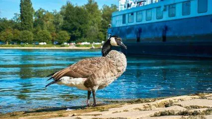 Los mejores brokers en Europa