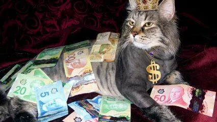 Los mejores fondos de inversión en Dinamarca