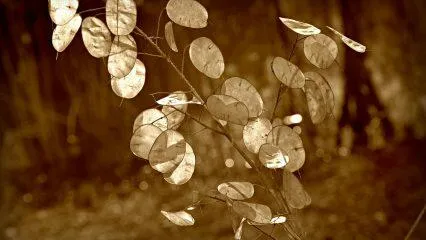 Los mejores fondos de inversión en Europa