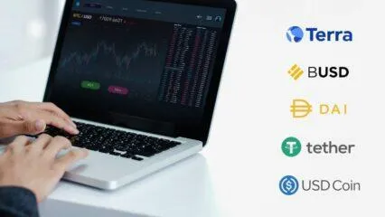 Persona que usa una laptop para operar con criptomonedas, como Terra, BUSD, DAI, Tether y USD Coin. Invierte en stablecoins.