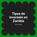 Tipos de inversión en Zambia