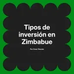 Tipos de inversión en Zimbabue