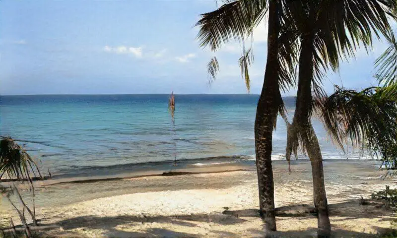 Playa tranquila con palmeras, arena blanca y mar azul, ideal para relajarse y disfrutar de la naturaleza.