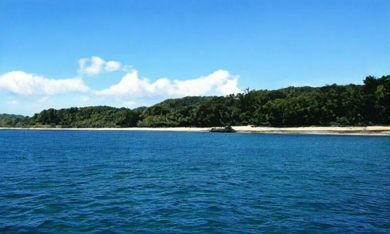 Playa tropical con exuberante vegetación verde y un tranquilo océano azul bajo un cielo brillante y soleado.