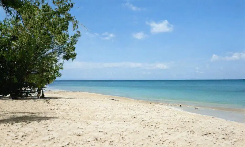 Playa tranquila con arena dorada y agua azul transparente, rodeada de árboles verdes bajo un cielo despejado. Ideal para relajarse y disfrutar de la naturaleza.