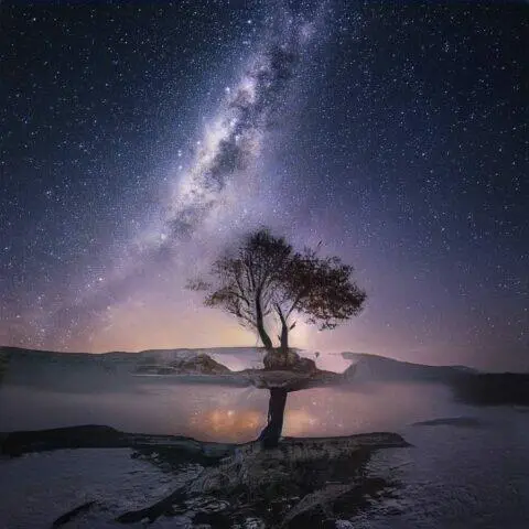 Árbol solitario en un paisaje nocturno con la Vía Láctea brillando en el cielo estrellado, reflejándose en un cuerpo de agua en calma.