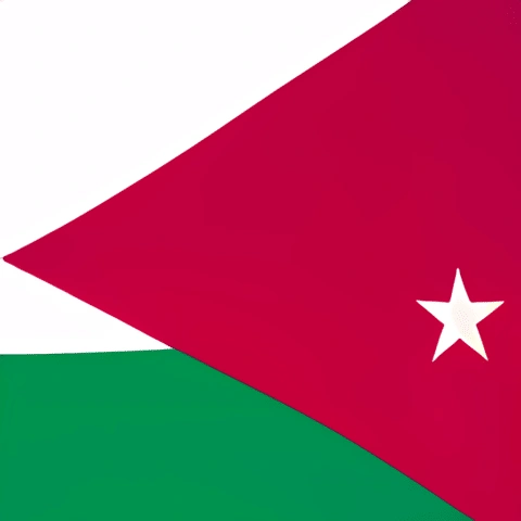 Bandera de Palestina con una estrella blanca sobre un triángulo rojo
