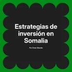 Estrategias de inversión en Somalia