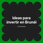 Ideas para invertir en Brunéi