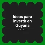 Ideas para invertir en Guyana
