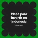 Ideas para invertir en Indonesia