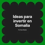 Ideas para invertir en Somalia