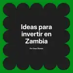Ideas para invertir en Zambia