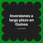 Inversiones a largo plazo en Guinea