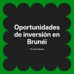 Oportunidades de inversión en Brunéi