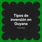 Tipos de inversión en Guyana