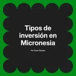 Tipos de inversión en Micronesia