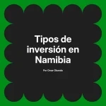 Tipos de inversión en Namibia