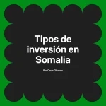Tipos de inversión en Somalia