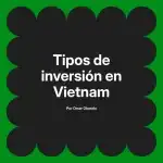 Tipos de inversión en Vietnam