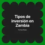 Tipos de inversión en Zambia