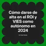 Cómo darse de alta en el ROI y VIES como autónomo en 2024