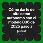 Cómo darte de alta como autónomo con el modelo 036 de 2025 paso a paso